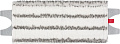 01.webp